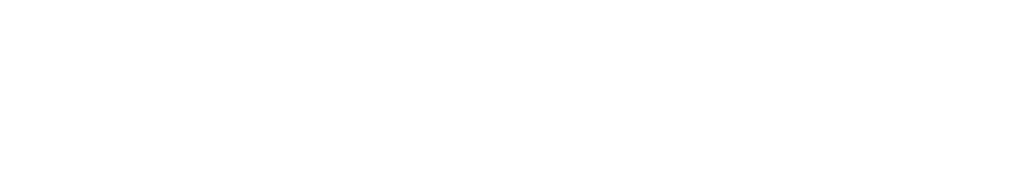 中咨海外咨询有限公司