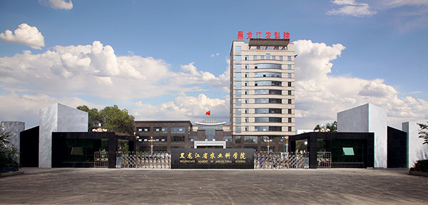 领航国际 协同办公 COP 协同运营平台