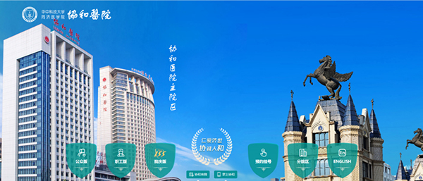 领航国际 协同办公 协同运营平台 COP 协同oa