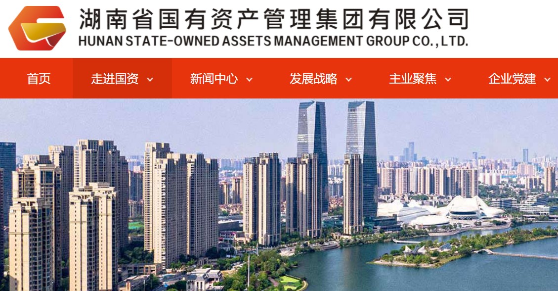 湖南 国资 领航国际 COP 协同 oa