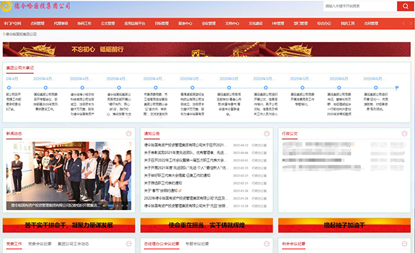 德令哈 国有资产 领航国际 COP 协同 oa