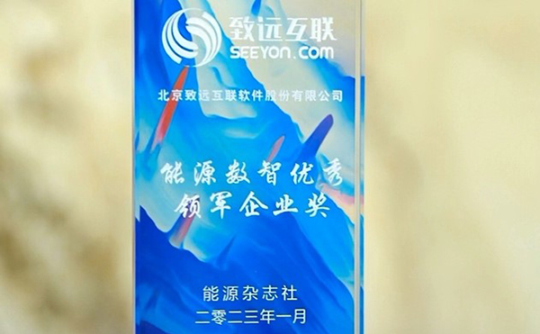 领航国际  COP 协同办公