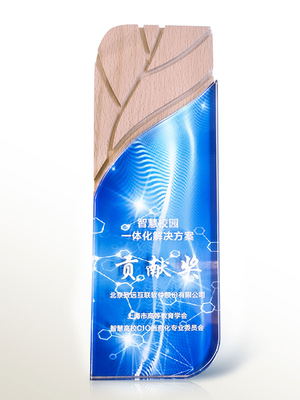 领航国际 智慧校园 一体化 COP 协同运营平台