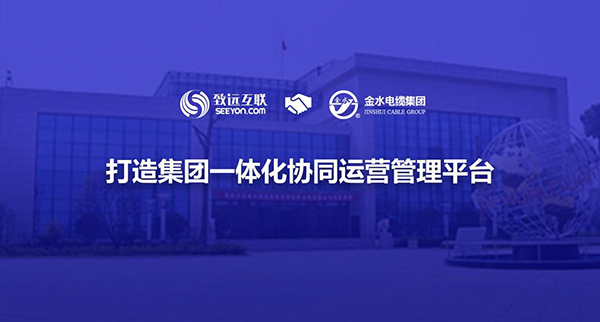 领航国际，金水电缆集团，协同运营平台