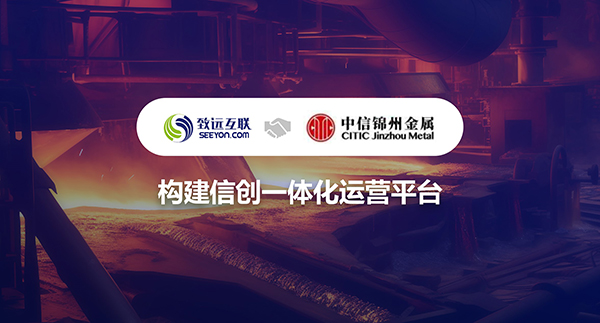 领航国际，信创，运营平台