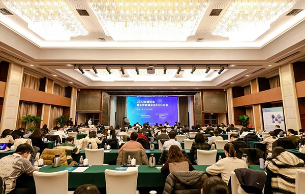 领航国际，能源行业，数字化转型