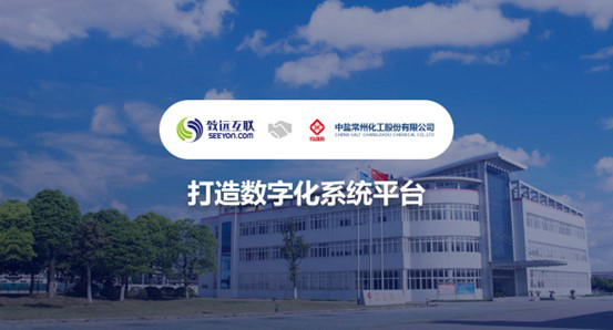 领航国际，中盐常化，数字化系统