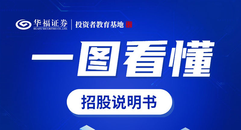 股东来了,招股说明书