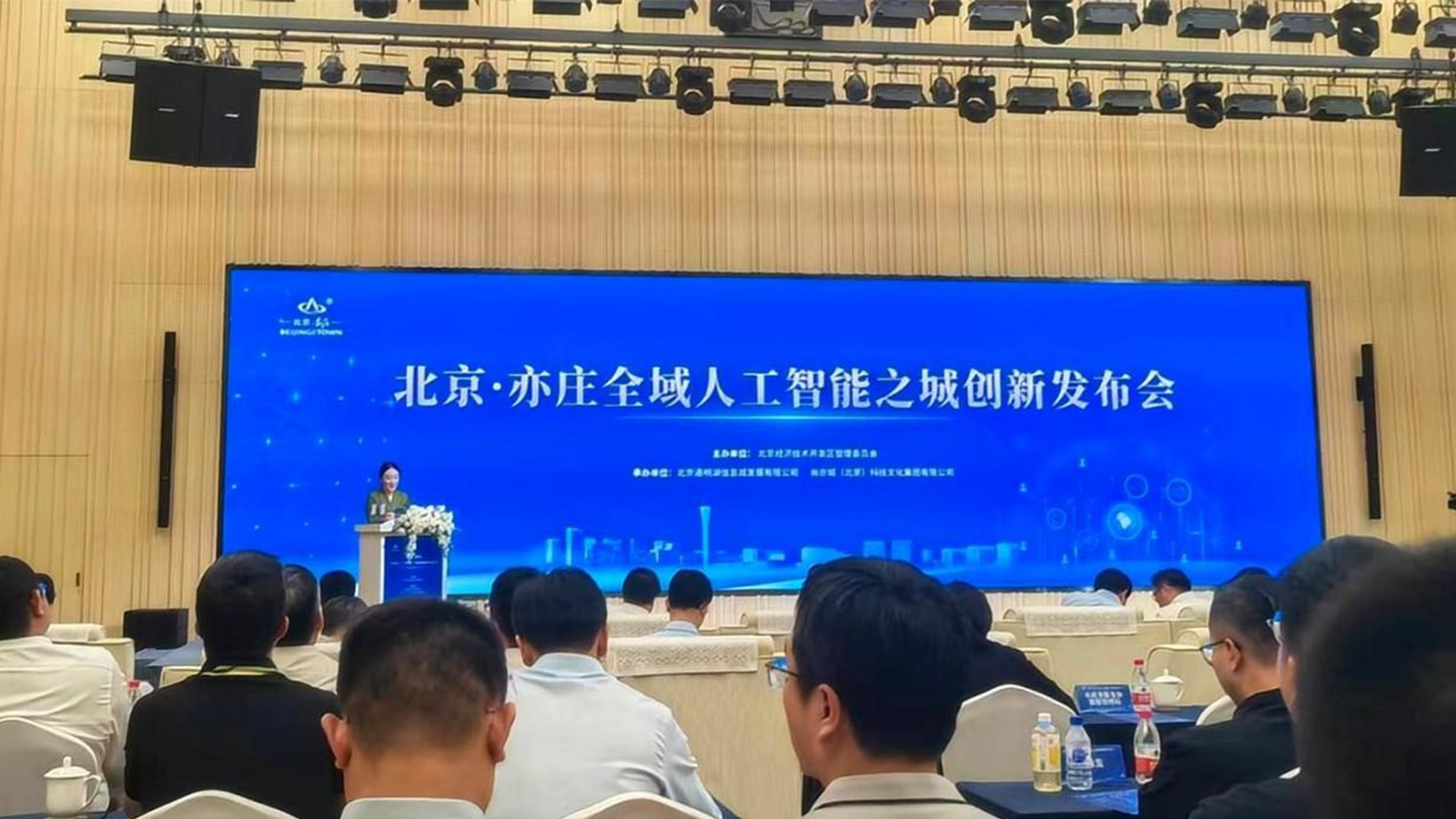 领航国际，政务领域大模型