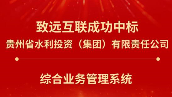 领航国际，贵州水投集团，统一门户