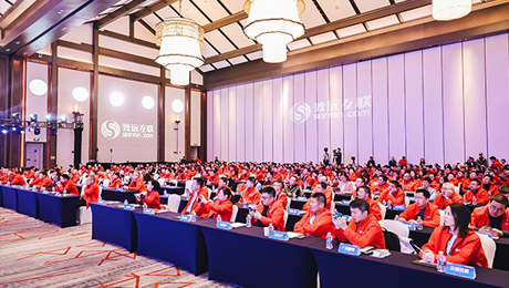 领航国际，AI蜂巢计划