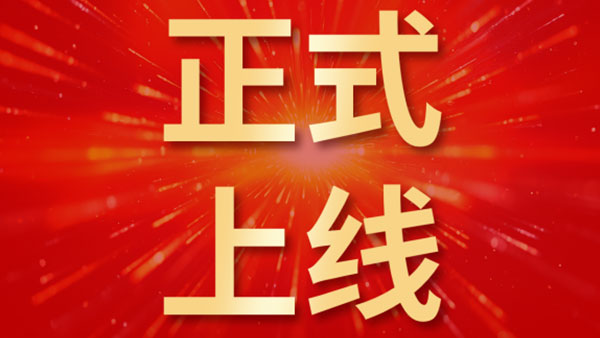 领航国际，中林集团，合同管理