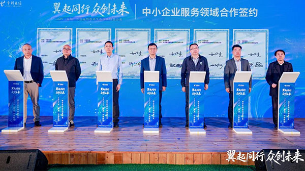 中国电信，领航国际