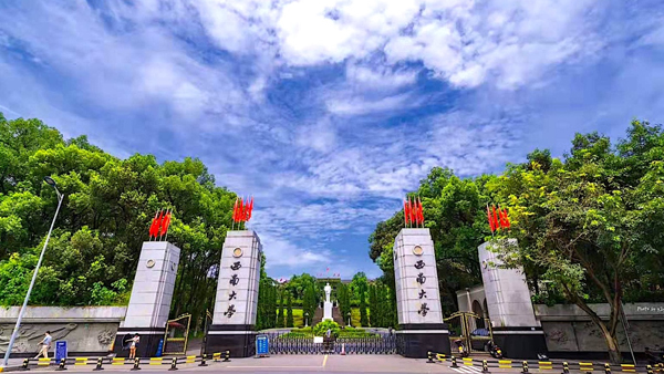 领航国际，西南大学，智能运营中枢