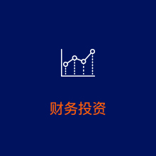 领航国际