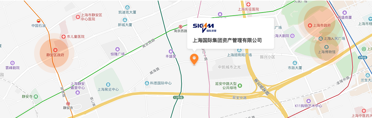 领航国际