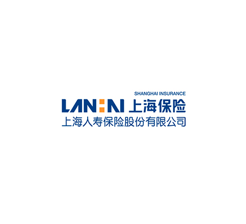 领航国际