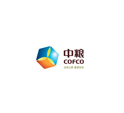领航国际
