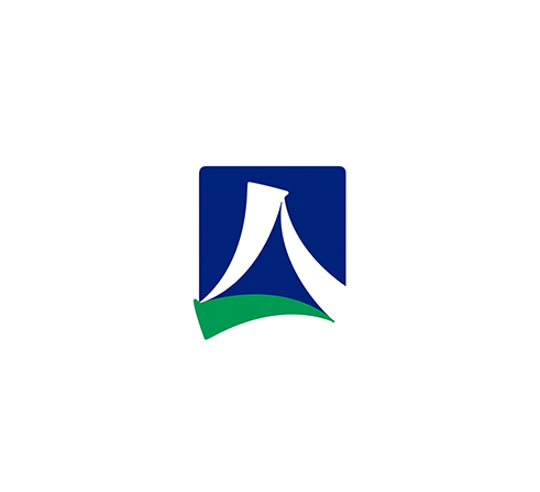领航国际