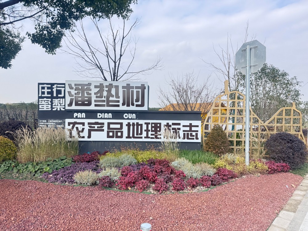 领航国际