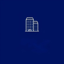 领航国际